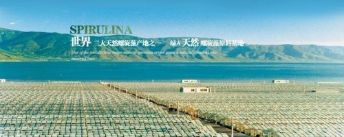 市場監管總局正式認可！螺旋藻增強免疫力再添權威認證！